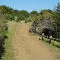 DSC02534