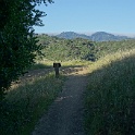 DSC02546