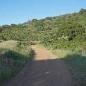 DSC02565