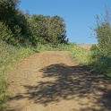 DSC02574