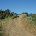 DSC02580