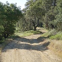 DSC02604