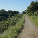 DSC02613