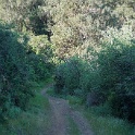 DSC02624