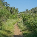 DSC02629