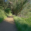 DSC02638