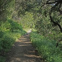 DSC02641