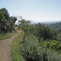 DSC02643