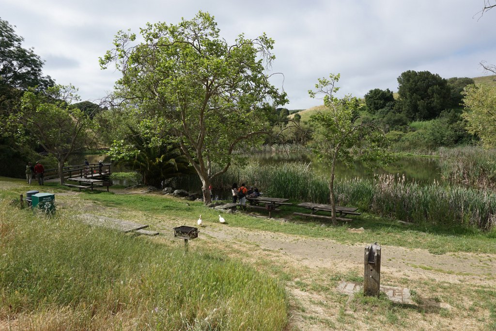 DSC04309
