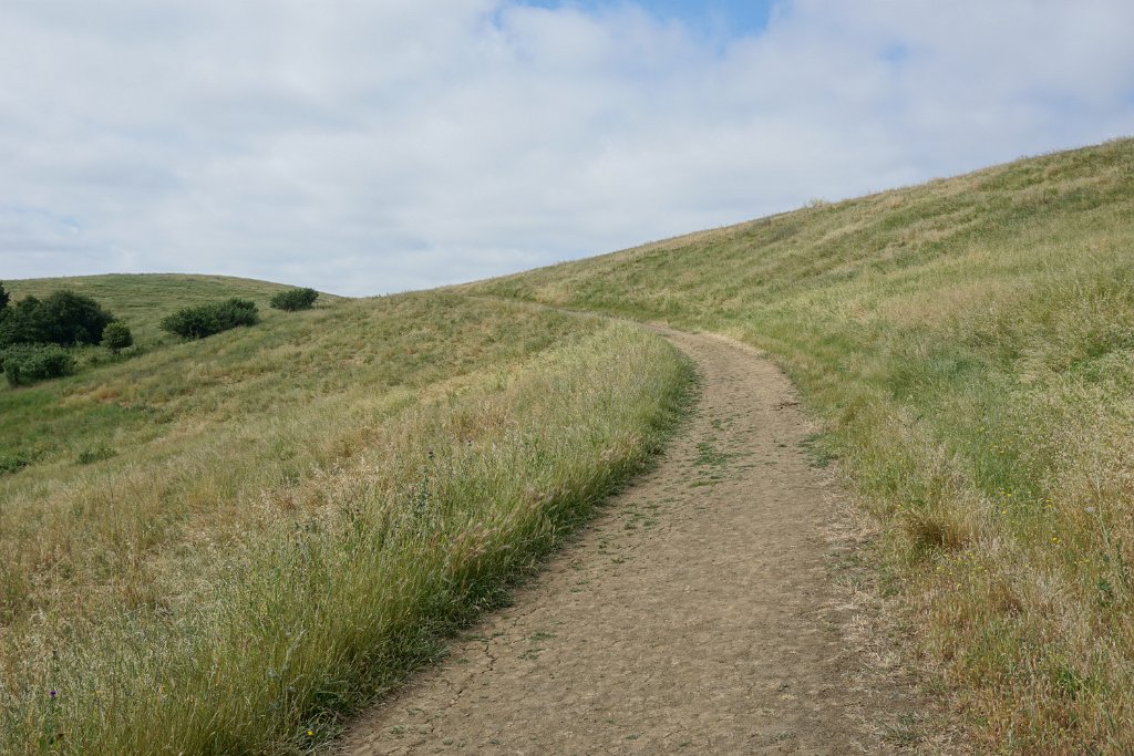 DSC04325