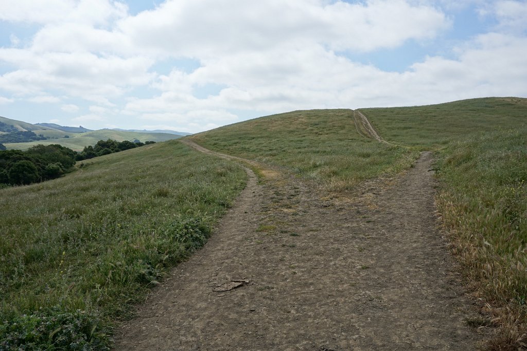 DSC04327