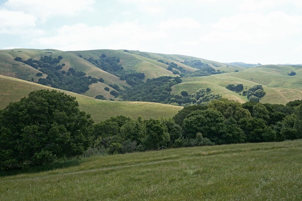 DSC04335