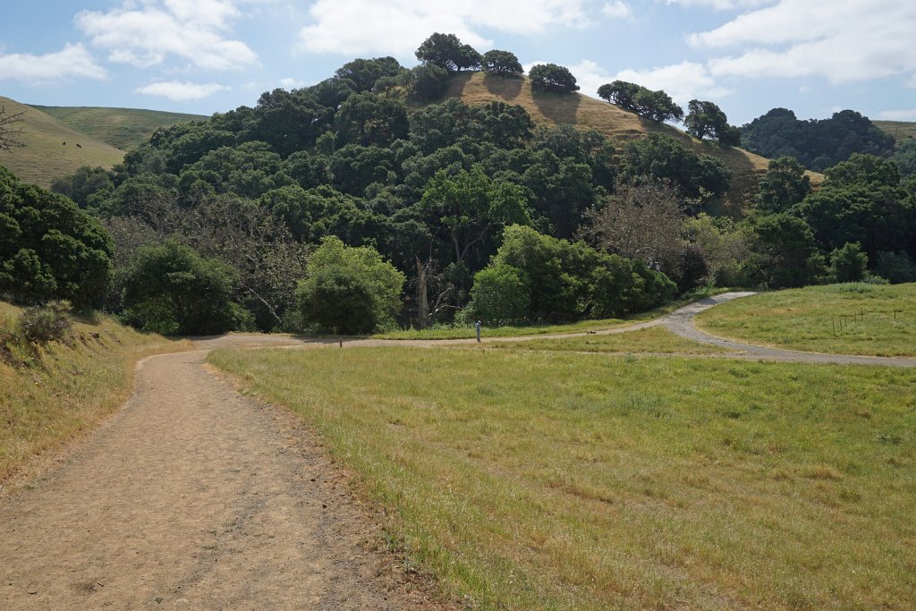 DSC04349