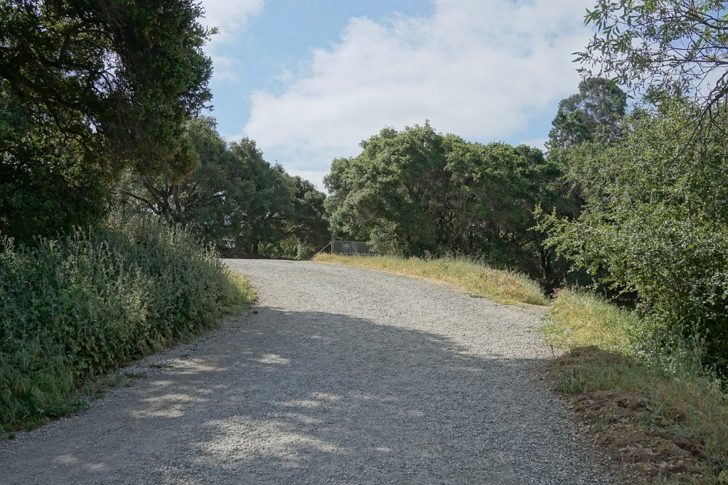 DSC04351