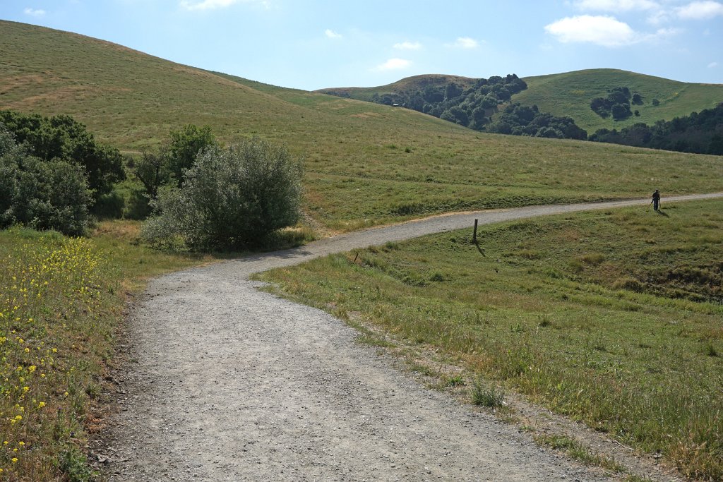 DSC04356