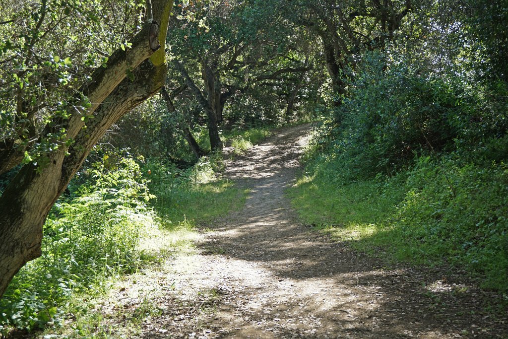 DSC04369