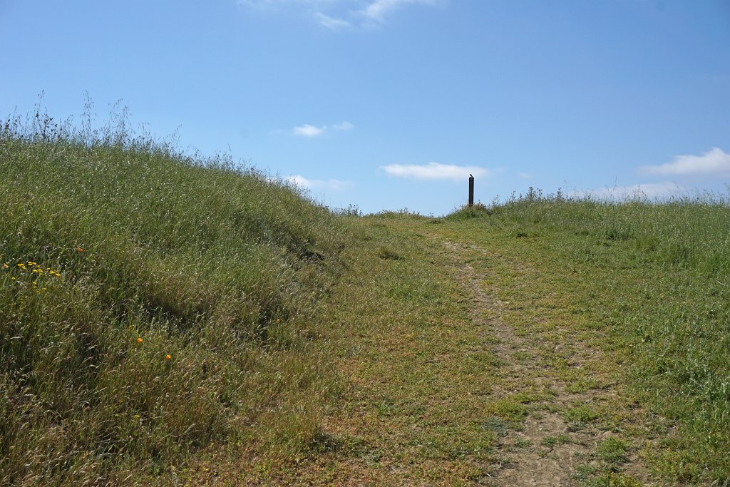 DSC04371