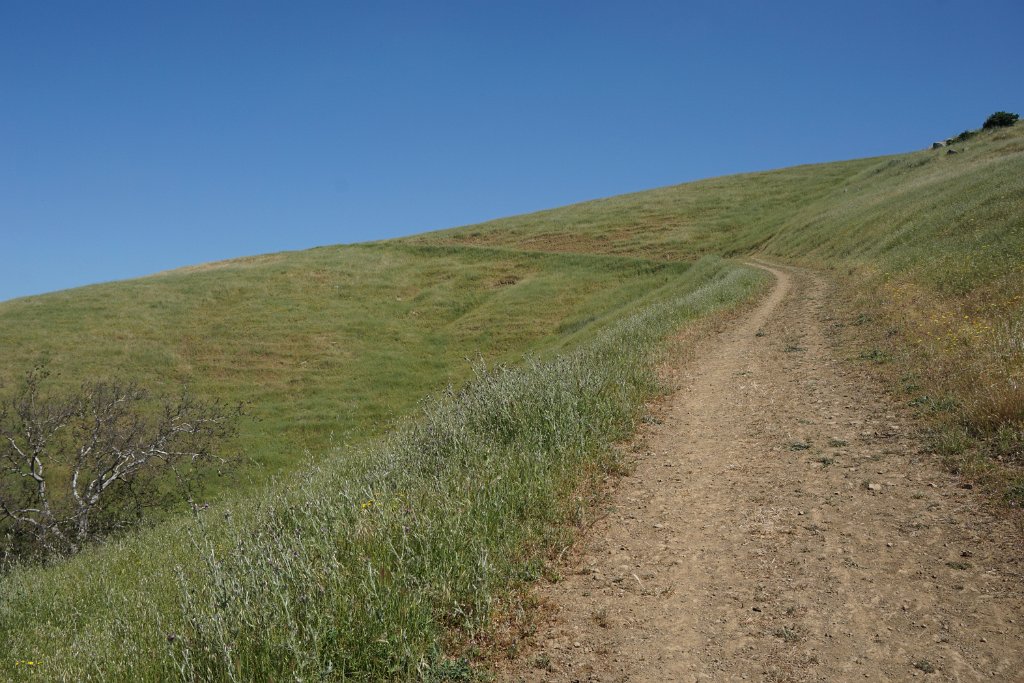 DSC04386