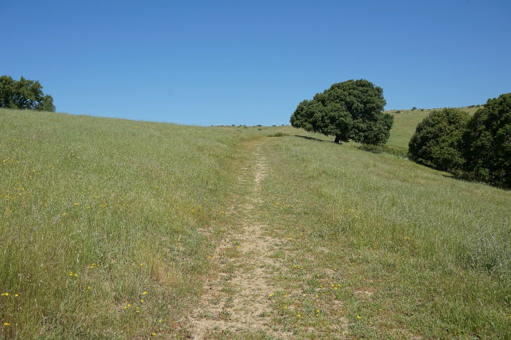 DSC04394