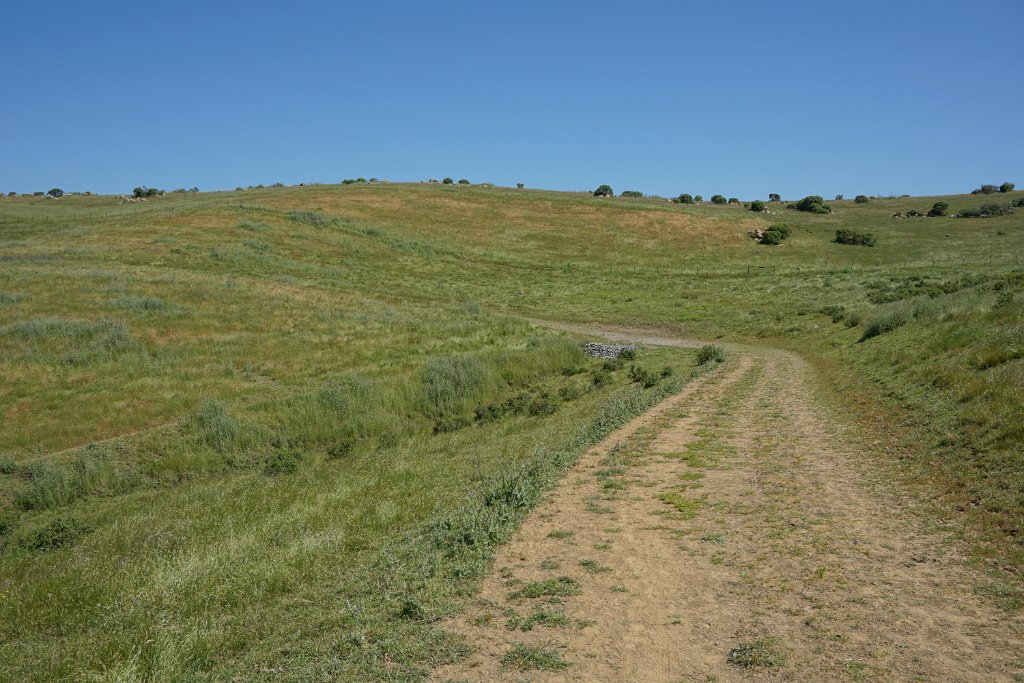 DSC04396