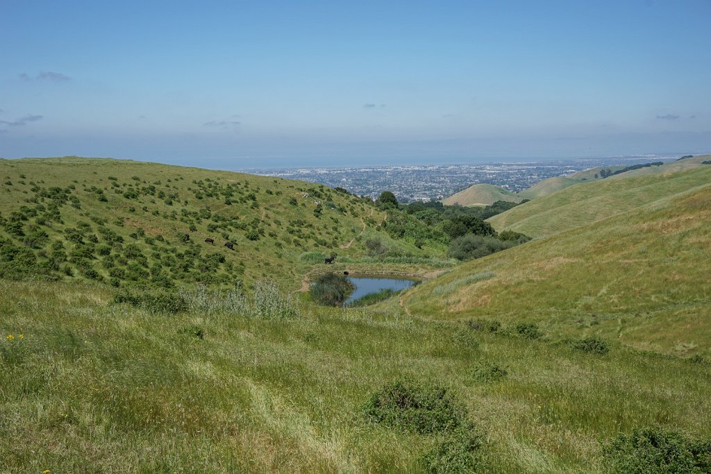 DSC04398