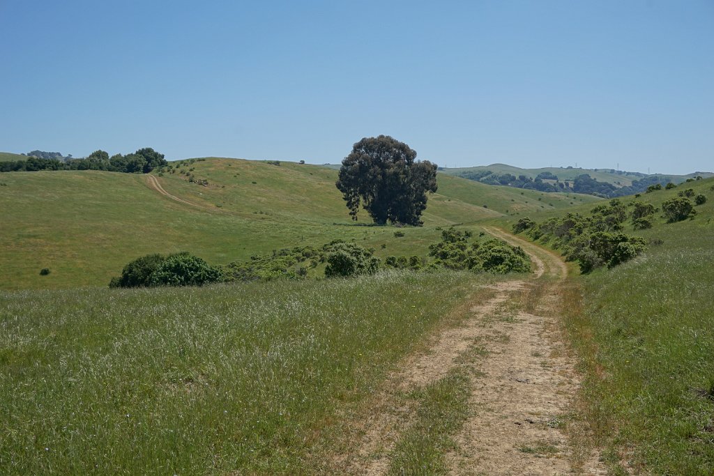 DSC04404