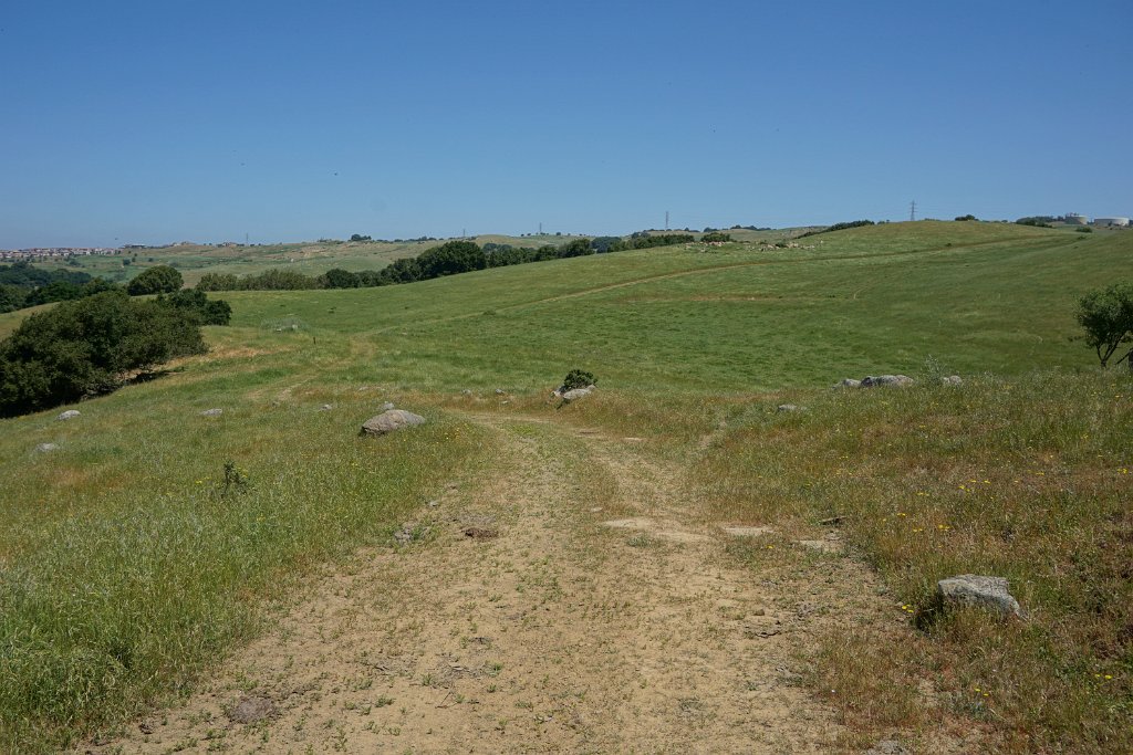 DSC04406