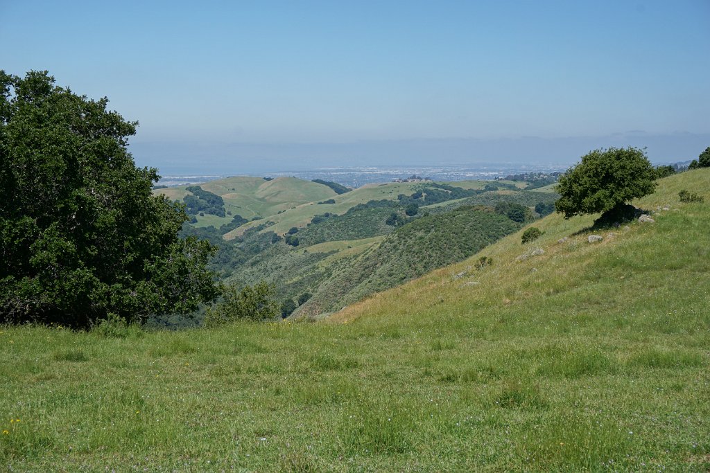DSC04408