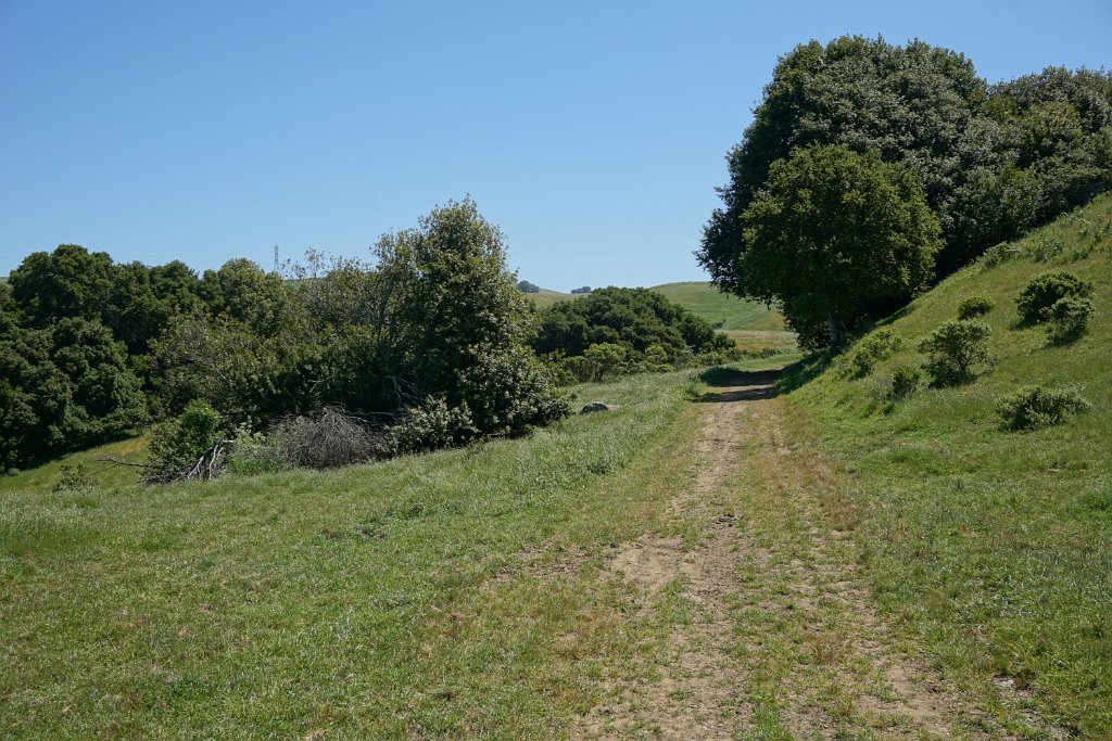 DSC04410