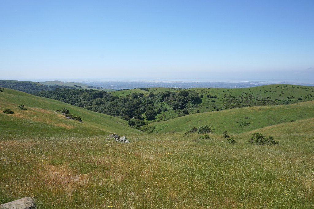 DSC04411