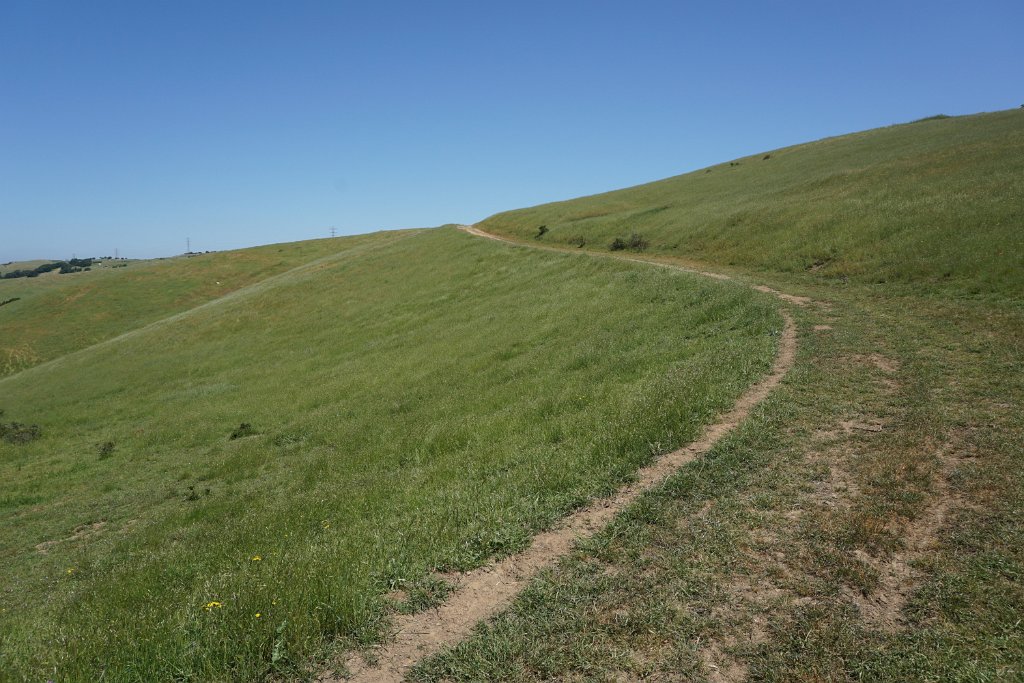 DSC04417