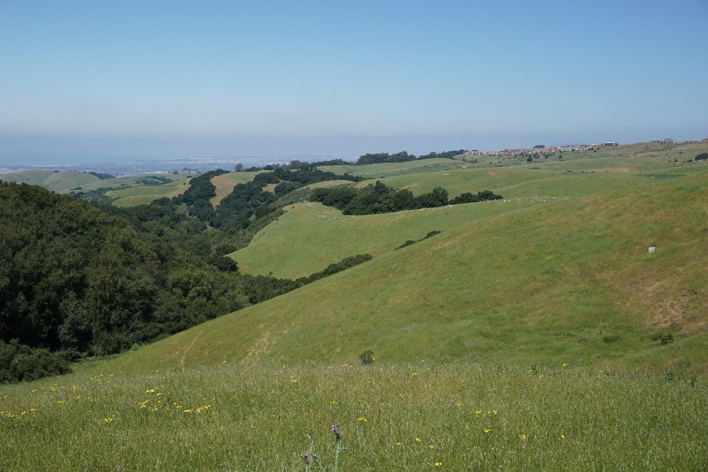 DSC04419