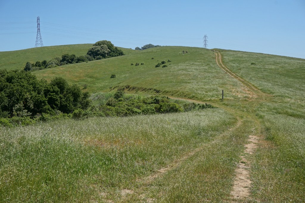 DSC04421
