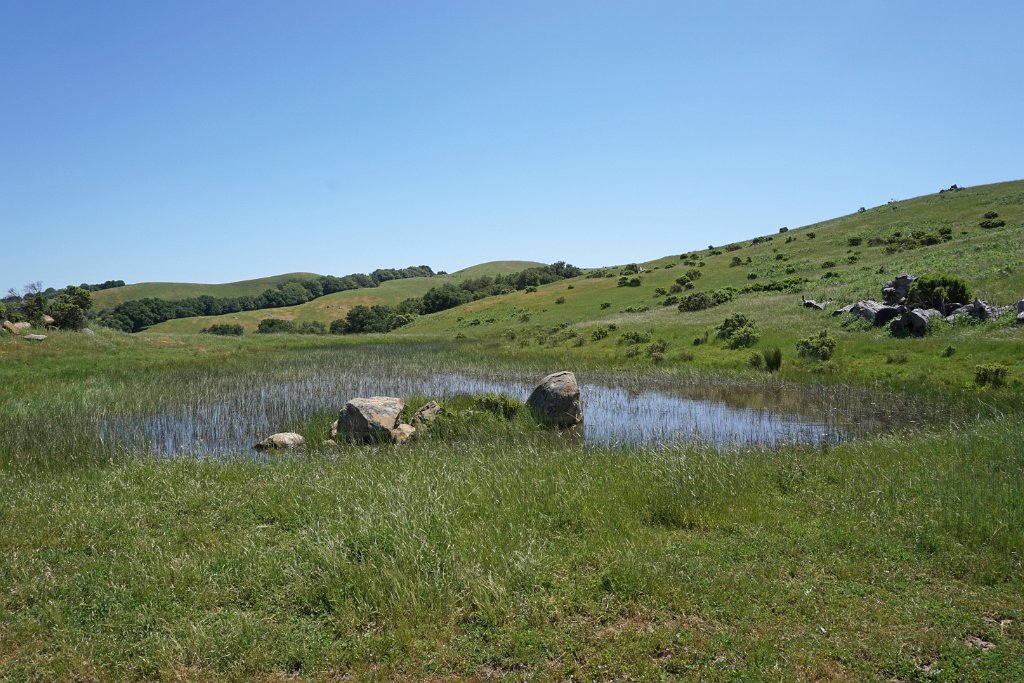 DSC04429