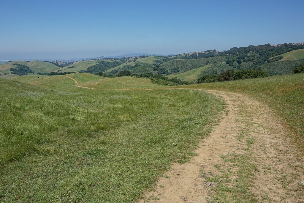 DSC04445