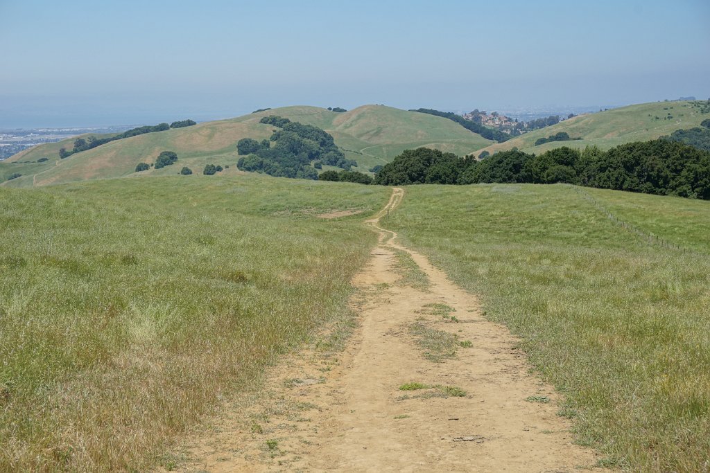 DSC04447