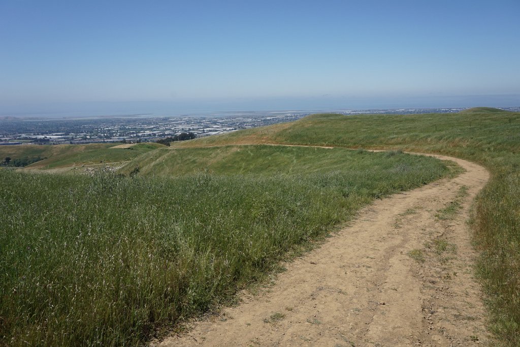 DSC04450