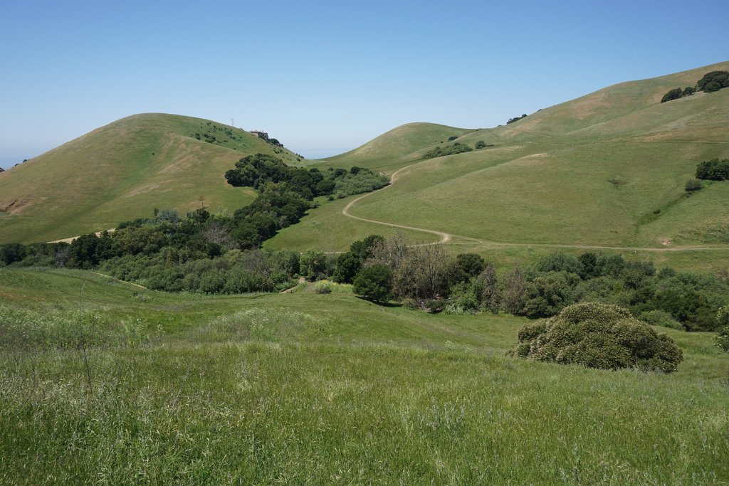 DSC04458