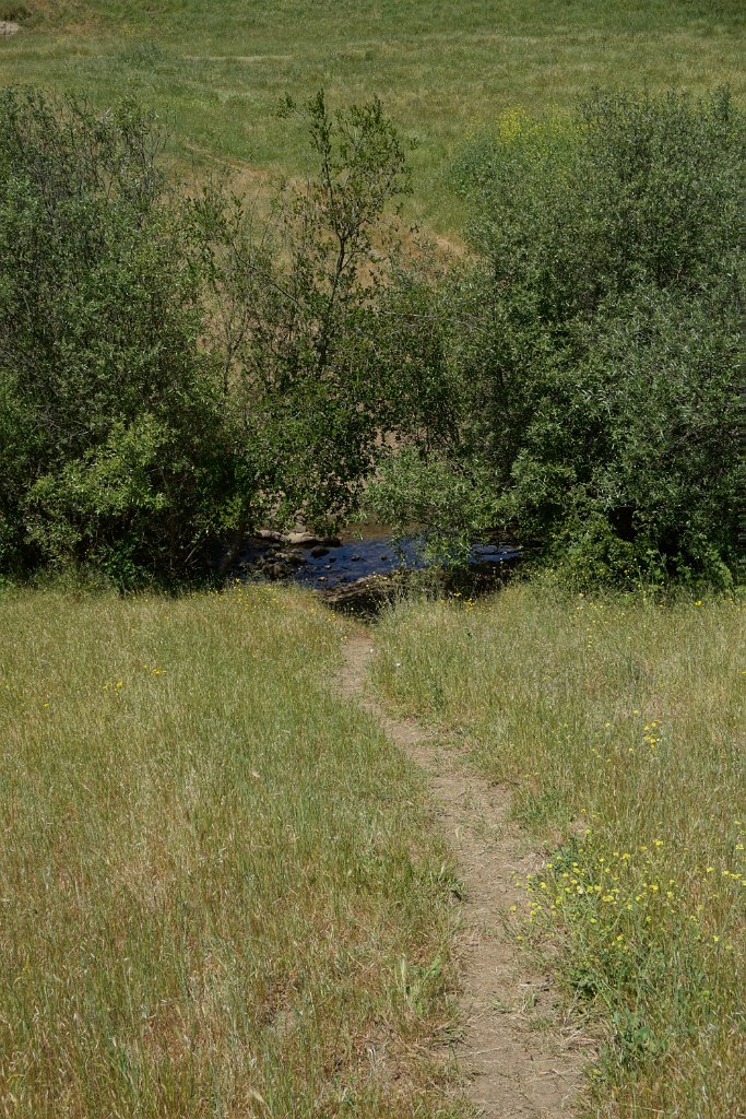 DSC04463