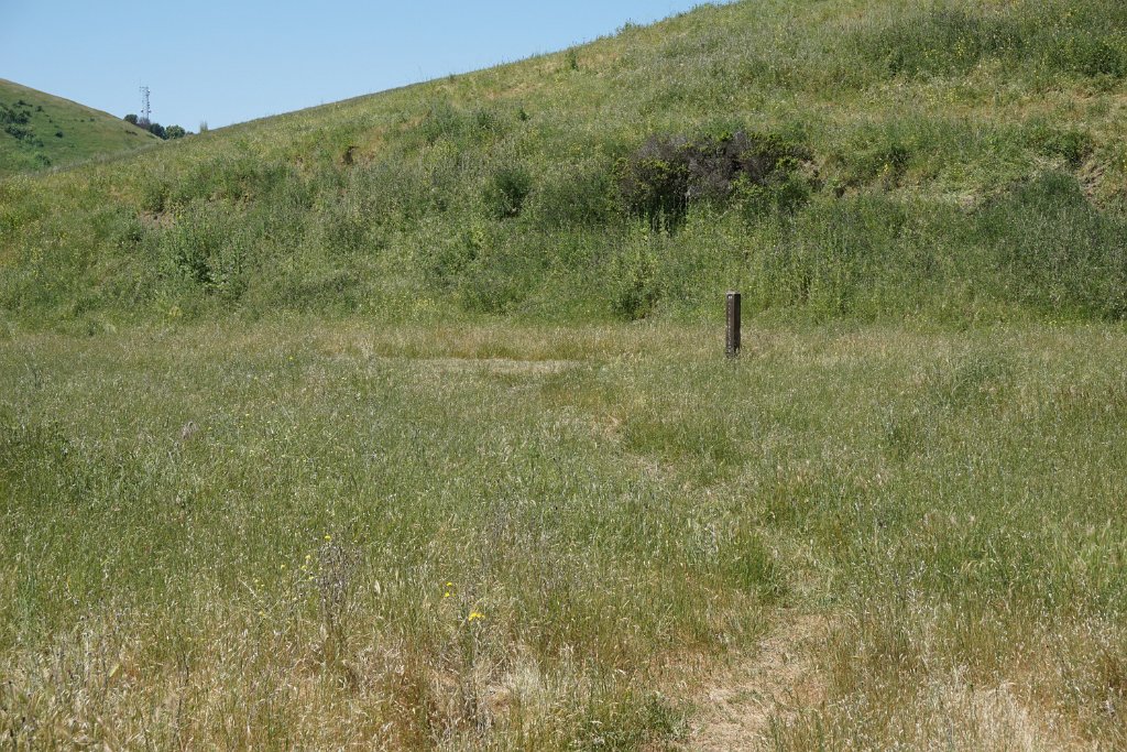 DSC04468