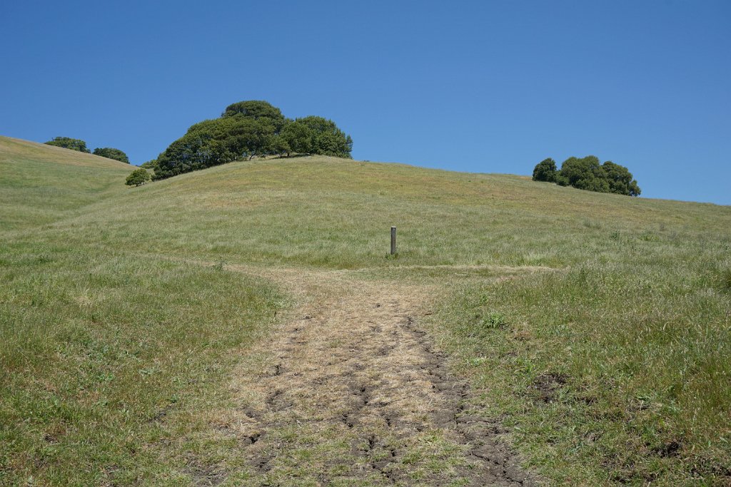DSC04474