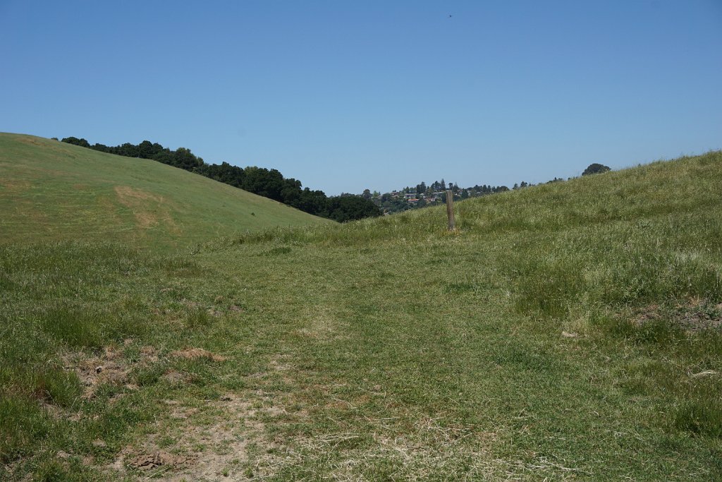 DSC04479