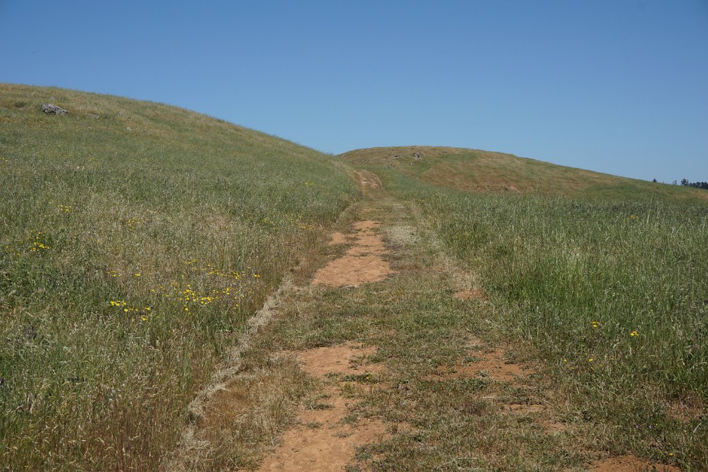 DSC04483