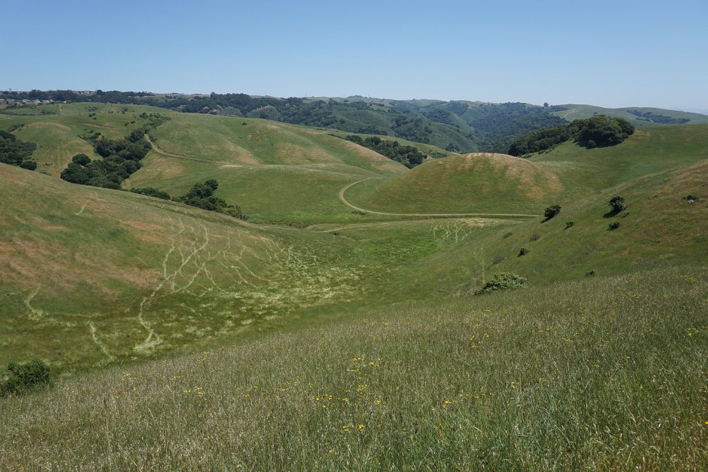 DSC04484