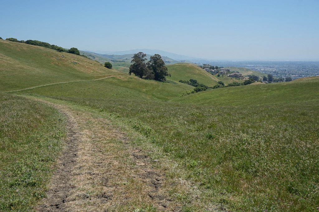 DSC04502