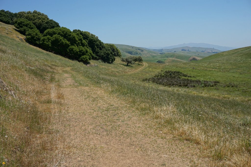 DSC04504
