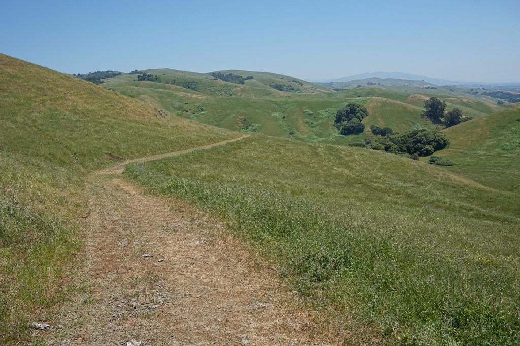 DSC04506