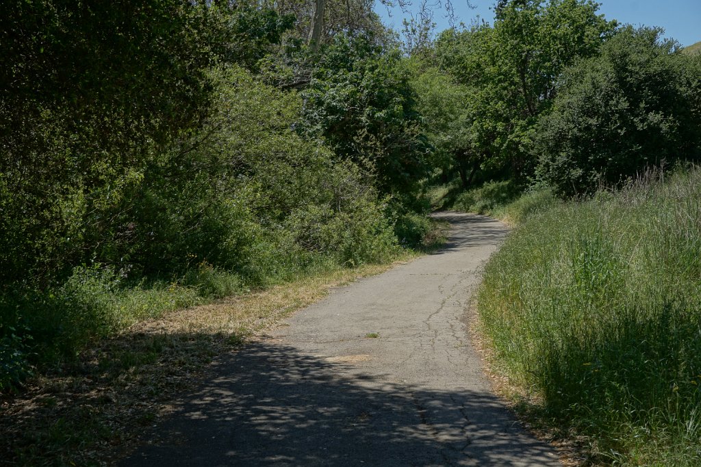 DSC04514