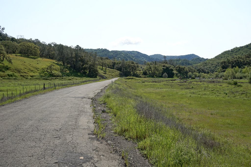 DSC07737