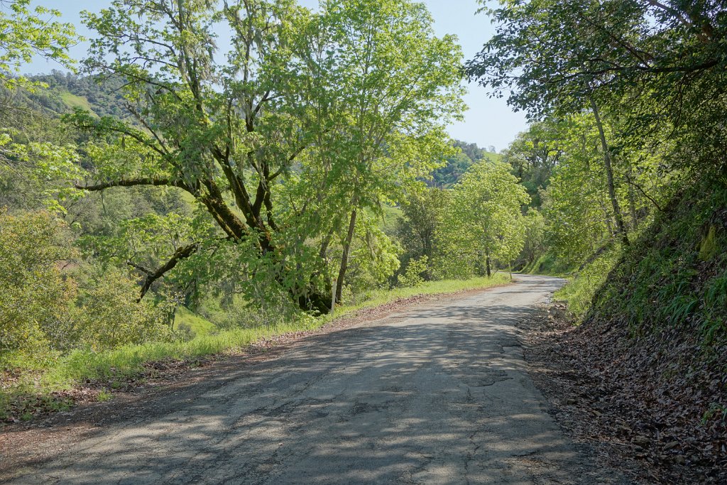 DSC07777